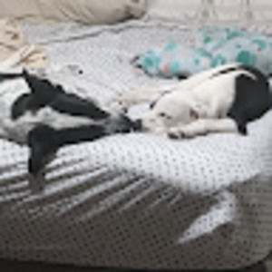 Meet your Posher, Maggie